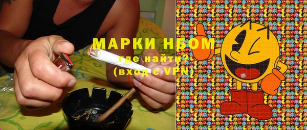 гидра Гусев