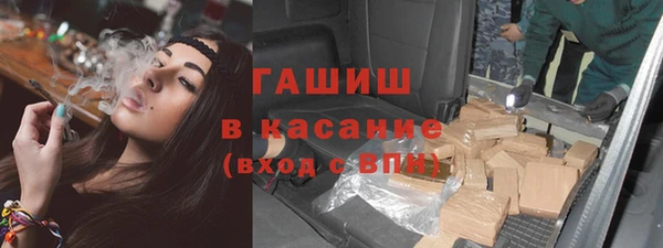 прущие грибы Гусь-Хрустальный