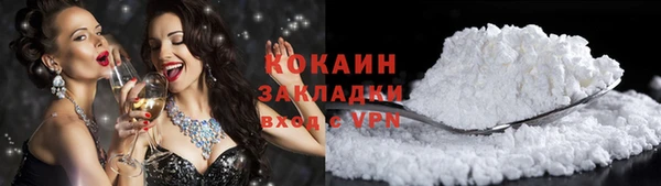 прущие грибы Гусь-Хрустальный
