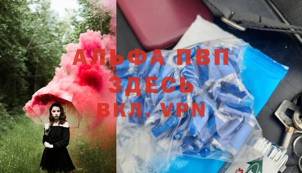ПСИЛОЦИБИНОВЫЕ ГРИБЫ Гусиноозёрск
