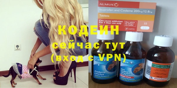 дмт Горняк