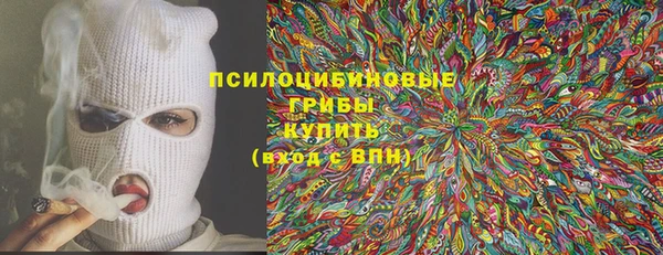 дмт Горняк