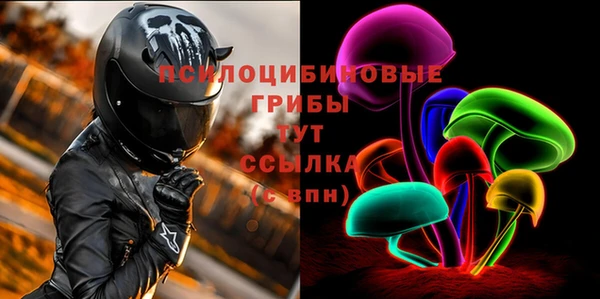прущие грибы Гусь-Хрустальный