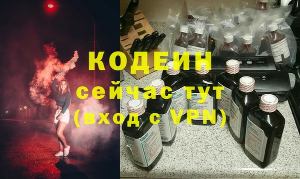 гидра Гусев
