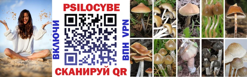 купить закладку  Калининград  даркнет клад  Псилоцибиновые грибы MAGIC MUSHROOMS 